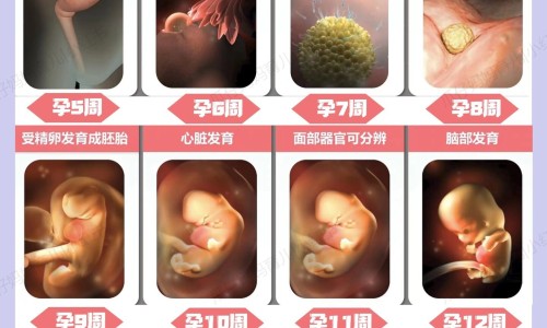 白内障手术效果怎么样网 - 白内障手术真相大揭秘,白内障手术效果怎么样知乎