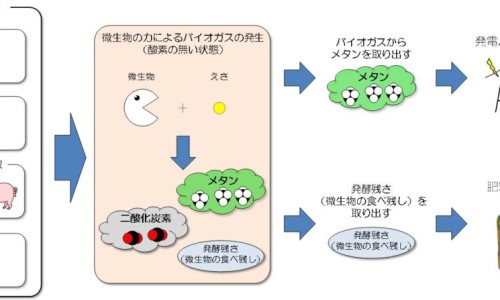 白内障手术价格一般是多少-白内障手术效果怎么样网 - 白内障手术真相大揭秘,白内障手术效果怎么样知乎