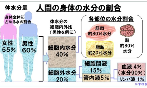 白内障手术价格一般是多少-白内障手术效果怎么样网 - 白内障手术真相大揭秘,白内障手术效果怎么样知乎